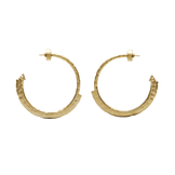 Harlow Arch Hoop Earrings