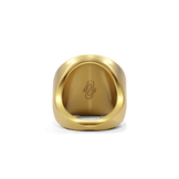 Sunburst Signet Ring in 14k gold plate with a lapis sun on a flat signet face, back view