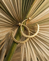 Harlow Arch Hoop Earrings